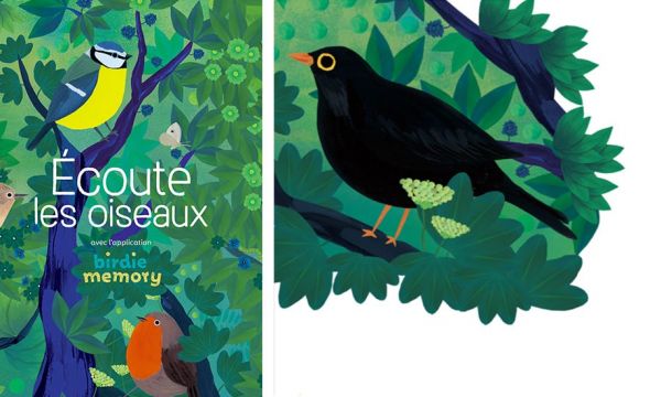 Comment apprendre le chant des oiseaux grâce à ce livre et cette application