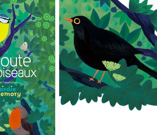 Comment apprendre le chant des oiseaux grâce à ce livre et cette application