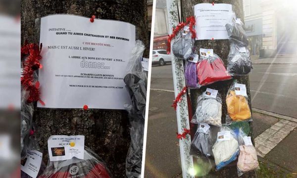 À Châteaudun, un arbre à écharpes pour aider les plus démunis