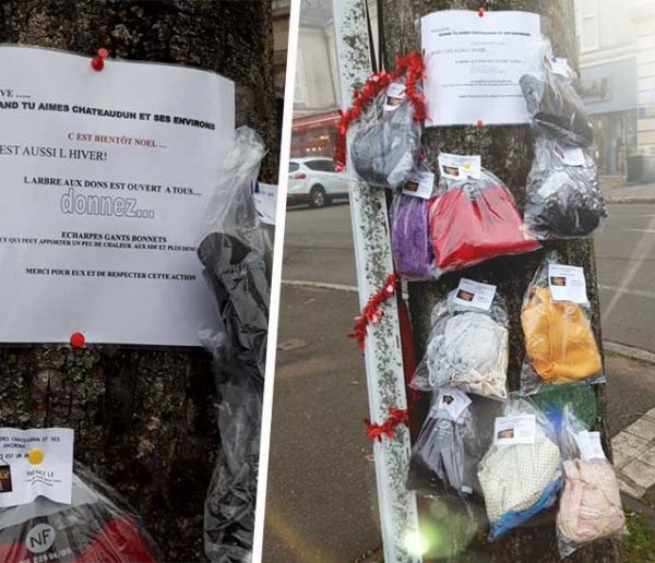 À Châteaudun, un arbre à écharpes pour aider les plus démunis