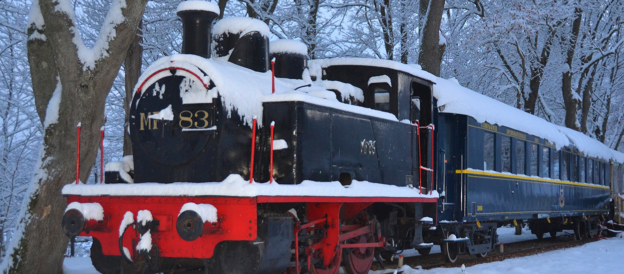 En Bourgogne, dormez à bord de l'Orient Express avec le Train des Rêves