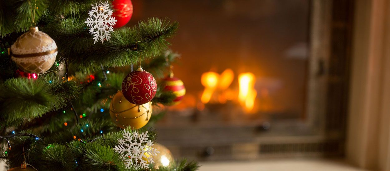 À quel moment acheter un sapin de Noël pour qu'il soit beau jusqu'à la fin des fêtes ?