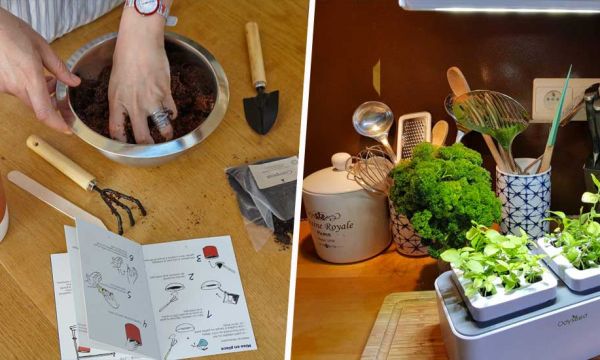 Test : les nouveaux potagers d'intérieurs vont-ils nous changer la vie ?