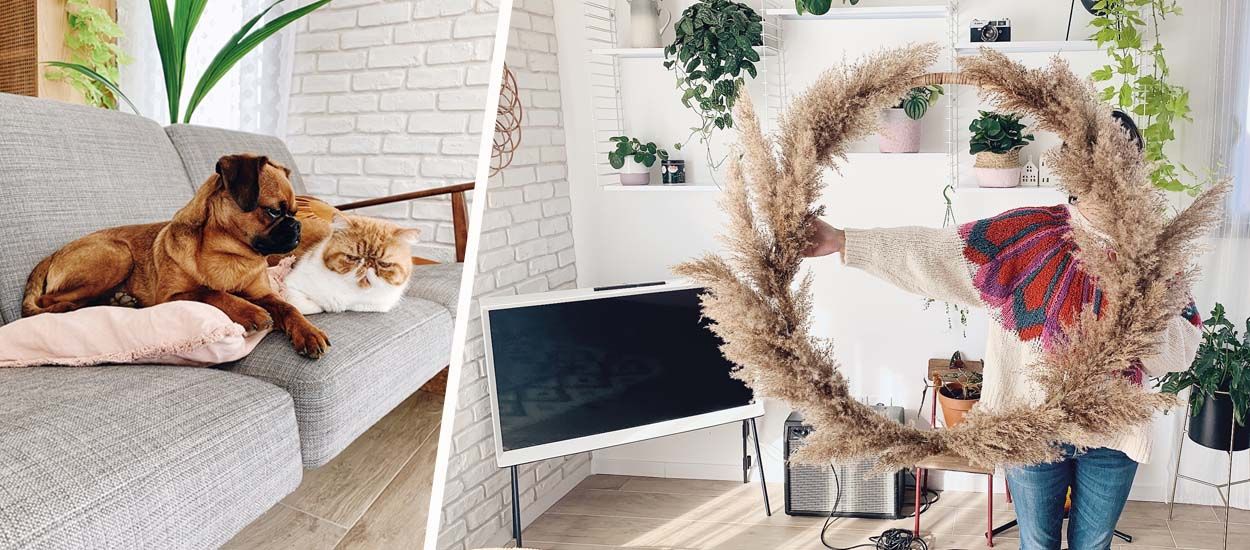Les bons plans de la blogueuse Zess pour décorer votre appartement (et poster les photos)