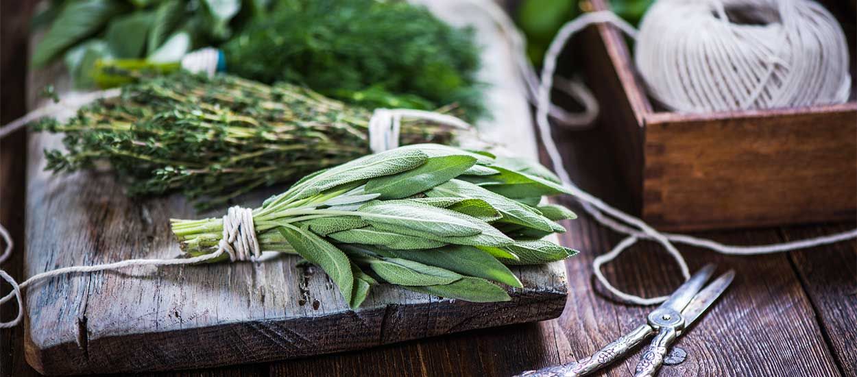 Créez votre propre mélange d'herbes aromatiques avec vos plantes du jardin