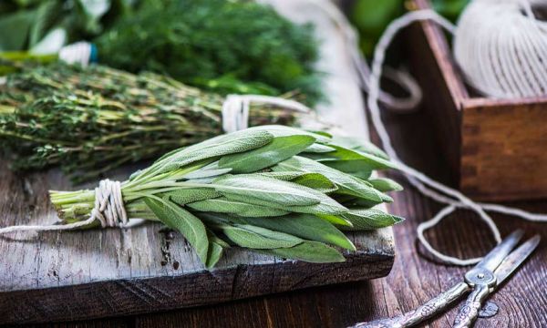 Créez votre propre mélange d'herbes aromatiques avec vos plantes du jardin