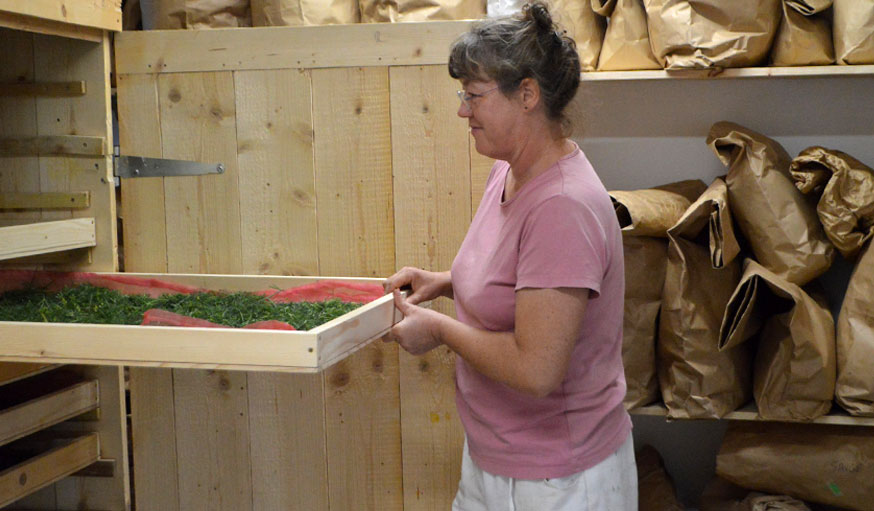 Séchoir herbes aromatiques