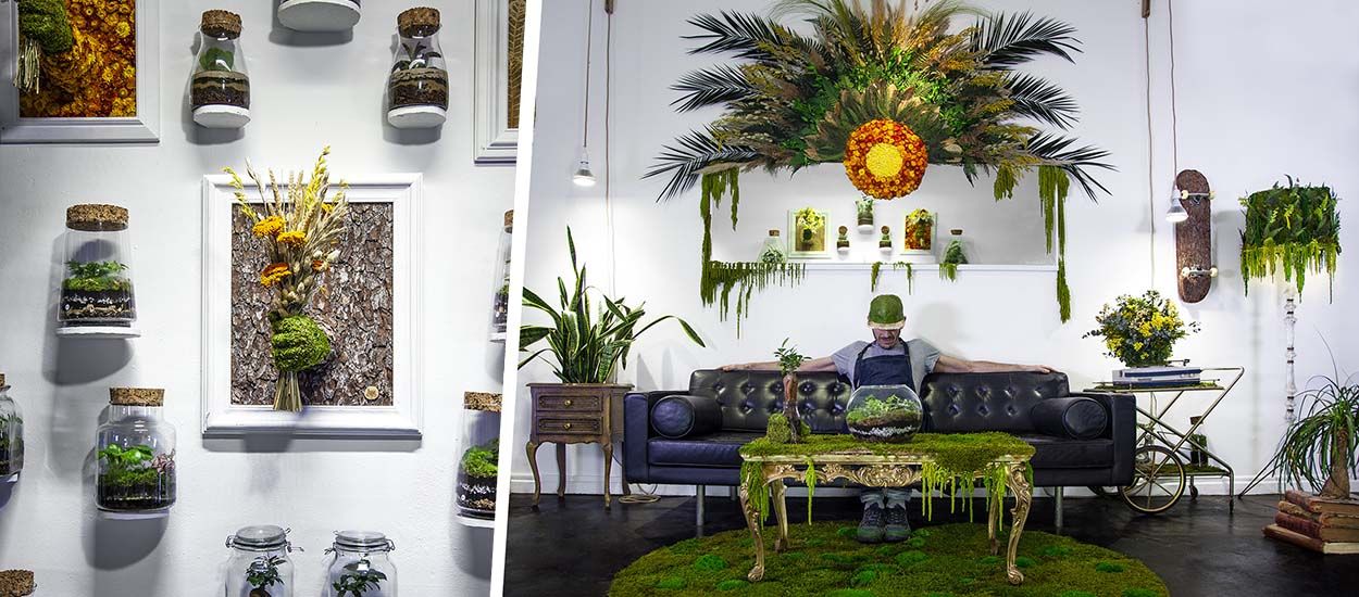 Chez Monsieur Plant, toute la déco est envahie par la nature