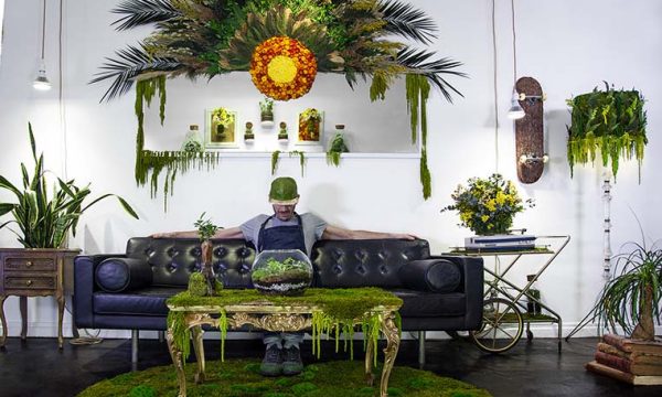 Chez Monsieur Plant, toute la déco est envahie par la nature