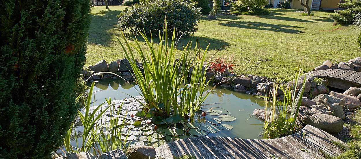 Dans cette commune, une aide financière est versée à ceux qui creusent une mare dans leur jardin