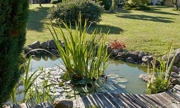 Dans cette commune, une aide financière est versée à ceux qui creusent une mare dans leur jardin