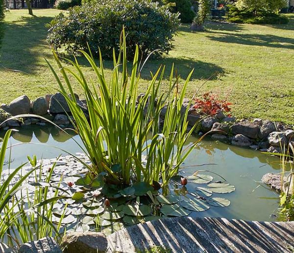 Dans cette commune, une aide financière est versée à ceux qui creusent une mare dans leur jardin