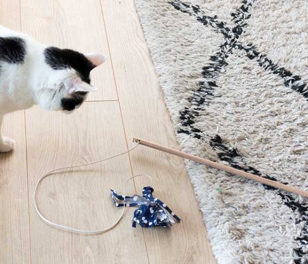Tuto : Fabriquez un jouet rigolo et mignon pour votre chat !