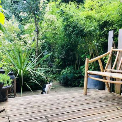 Elle transforme son jardin en refuge pour la biodiversité