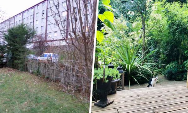 Avant / Après : Cette citadine a transformé son jardin en refuge pour la biodiversité