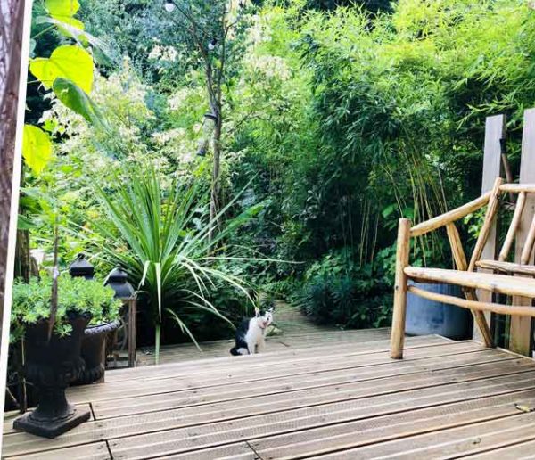 Elle transforme son jardin en refuge pour la biodiversité