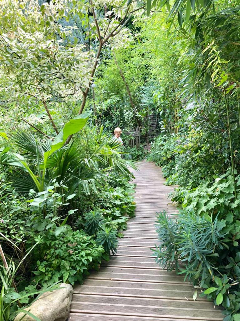 jardin de ville exotique en ville avec terrasse en bois