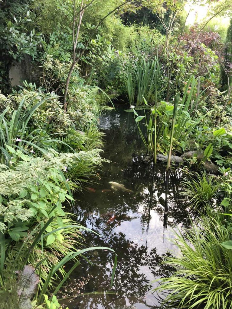 bassin dans un jardin en pleine ville