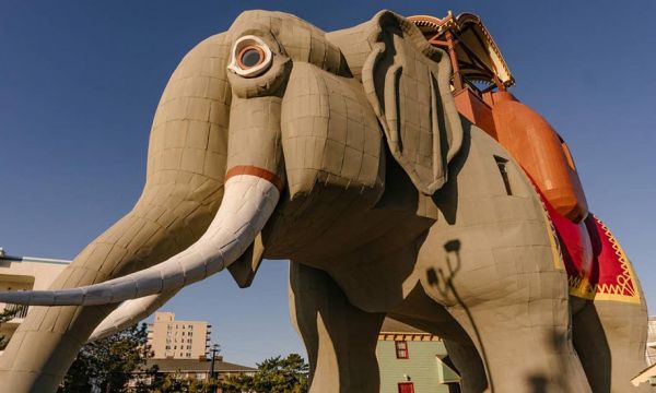 Cet éléphant géant en bois ouvre ses portes pour quelques nuits sur Airbnb