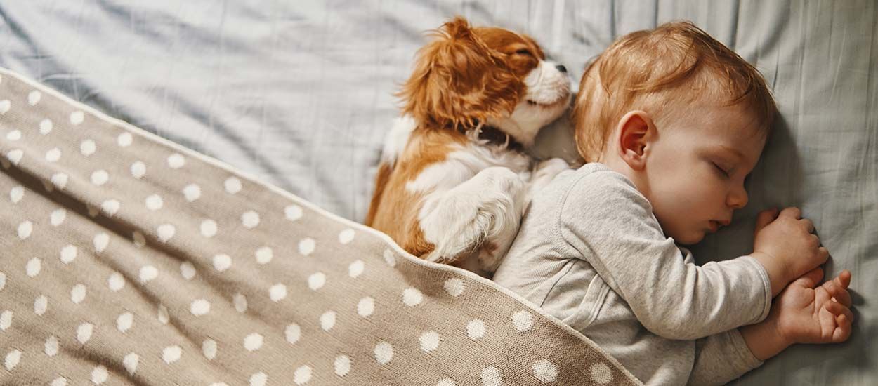 Quelle est la durée de sommeil idéale pour faire une sieste réparatrice ?