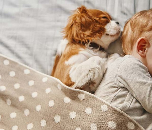 Quelle est la durée de sommeil idéale pour faire une sieste réparatrice ?