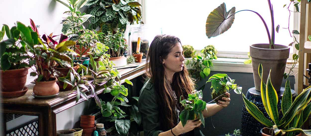 Pourquoi les Millennials sont-ils autant obsédés par les plantes ?