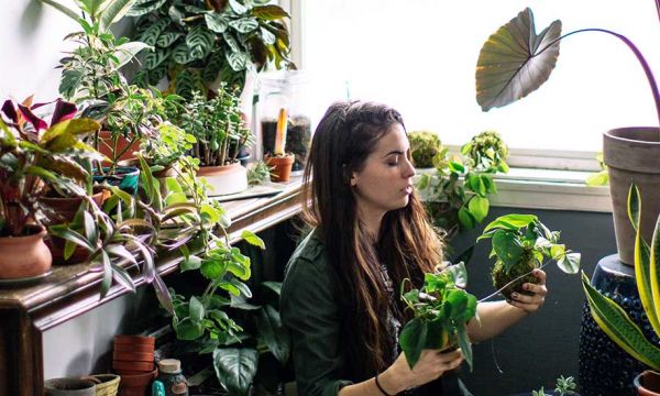 Pourquoi les Millennials sont-ils autant obsédés par les plantes ?