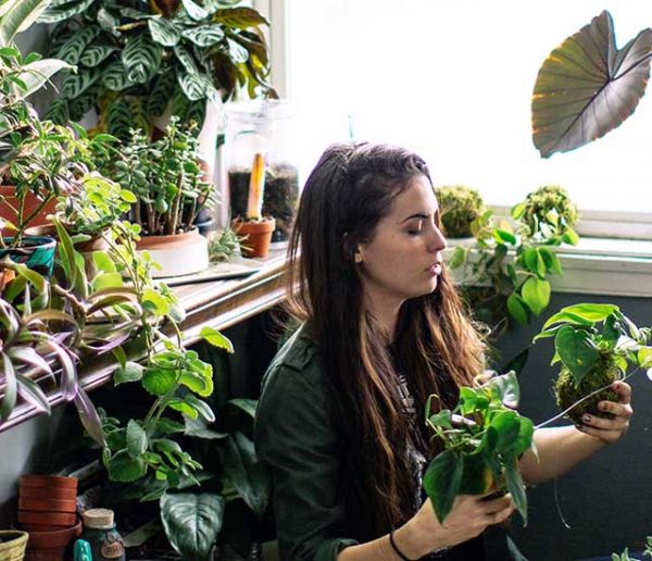 Pourquoi les Millennials sont-ils autant obsédés par les plantes ?