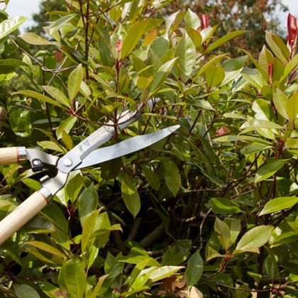 10 étapes pour transformer votre jardin en un seul week-end