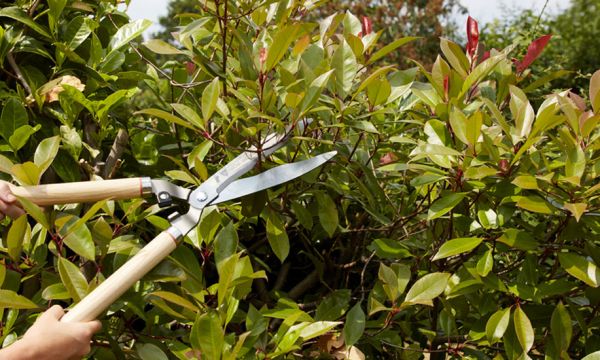 10 étapes pour transformer votre jardin en un seul week-end