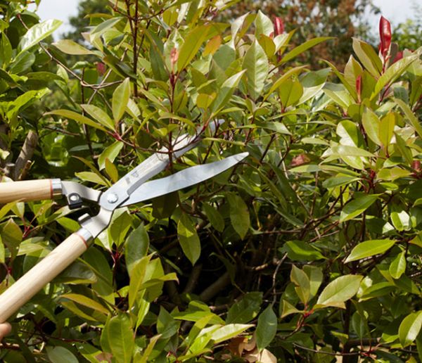 10 étapes pour transformer votre jardin en un seul week-end