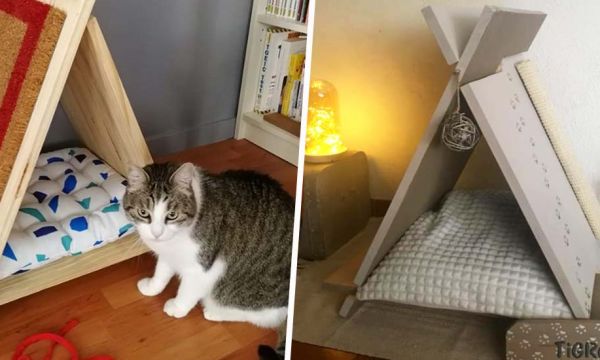 Les 10 plus beaux tipis pour chat réalisés par nos lecteurs