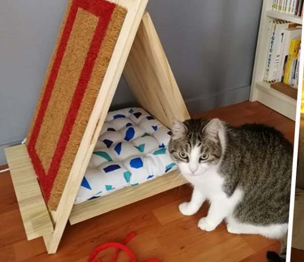 Les 10 plus beaux tipis pour chat réalisés par nos lecteurs