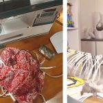 Makers imprimantes 3D couture DIY coronavirus masques visières