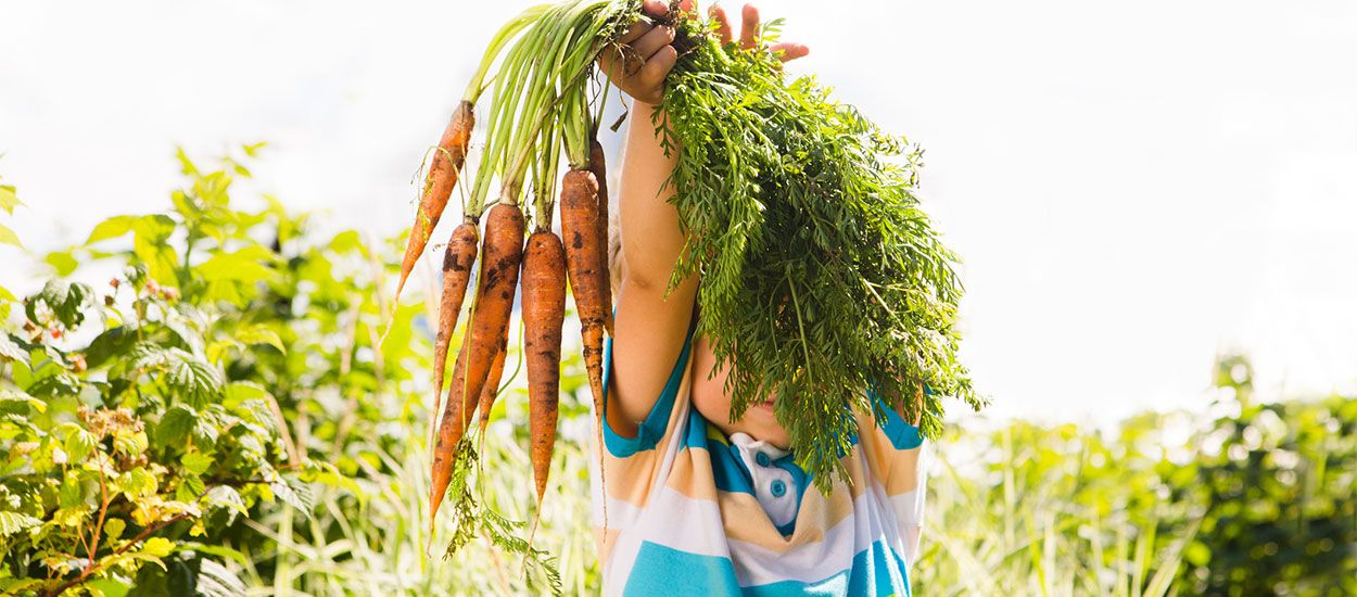 Suivez des cours de jardinage gratuits toute la semaine sur Internet