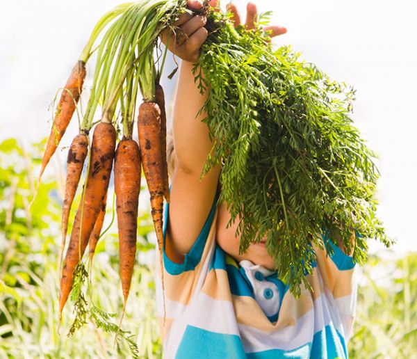 Suivez des cours de jardinage gratuits toute la semaine sur Internet