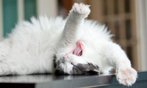 3 exercices faciles pour adopter la slow life à la maison