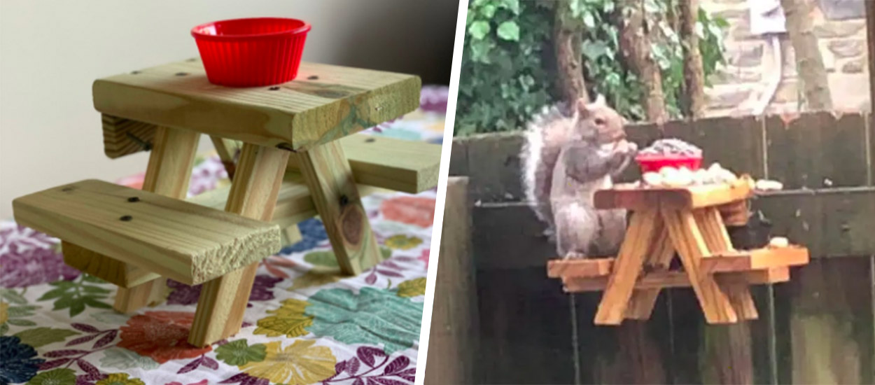 Squirrel Pique-nique Table Feeder Mini table de pique-nique suspendue pour écureuils et écureuils facile à installer clôture ou arbre Banc amusant pour écureuils Fonctionne avec épi ou pommes 