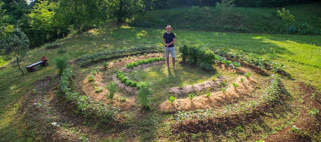 Cette formation en ligne sur la permaculture est gratuite et ouverte à tous