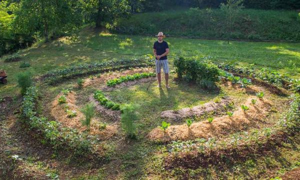 Cette formation en ligne sur la permaculture est gratuite et ouverte à tous