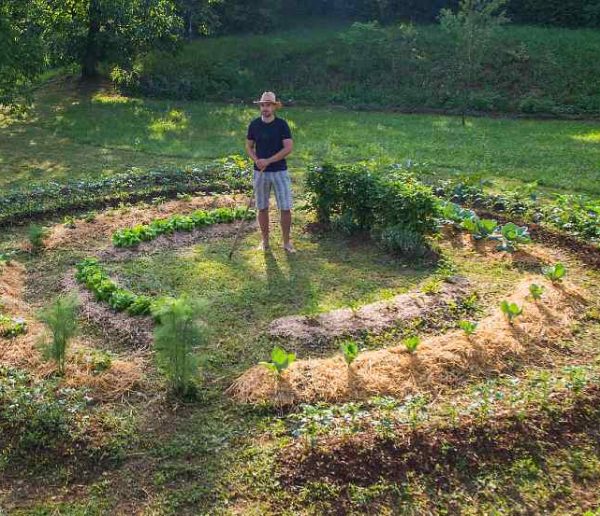 Cette formation en ligne sur la permaculture est gratuite et ouverte à tous