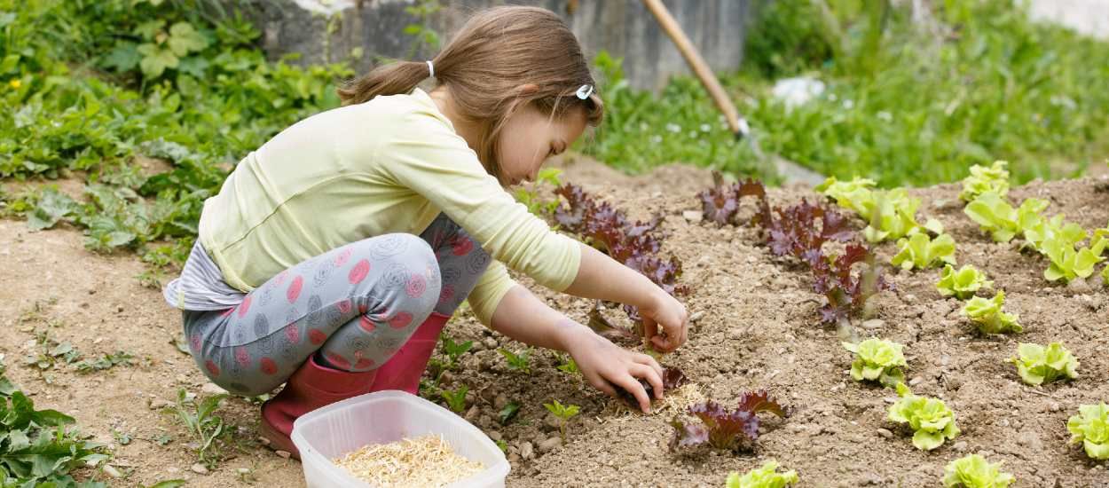 Voici quoi planter dans votre jardin (ou votre jardinière) pour le récolter très rapidement