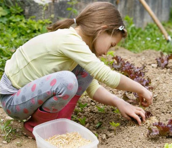 Voici quoi planter dans votre jardin (ou votre jardinière) pour le récolter très rapidement