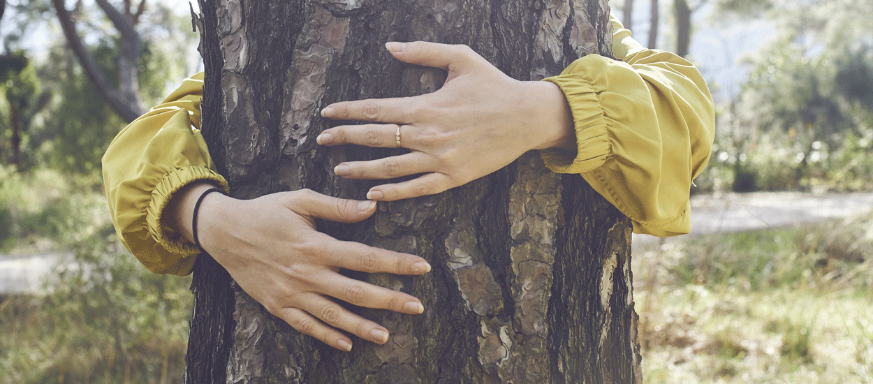 Faire des câlins aux arbres : la méthode islandaise pour vaincre le stress de l'épidémie