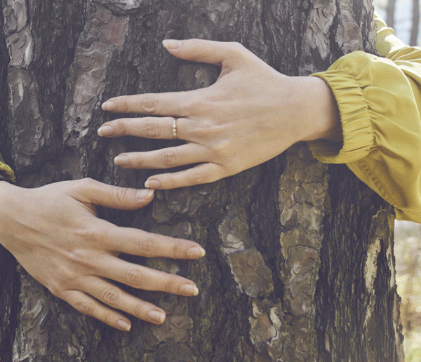 Faire des câlins aux arbres : la méthode islandaise pour vaincre le stress de l'épidémie