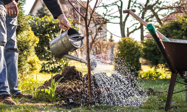 Les 13 astuces ultimes pour arroser votre jardin sans gaspiller l'eau