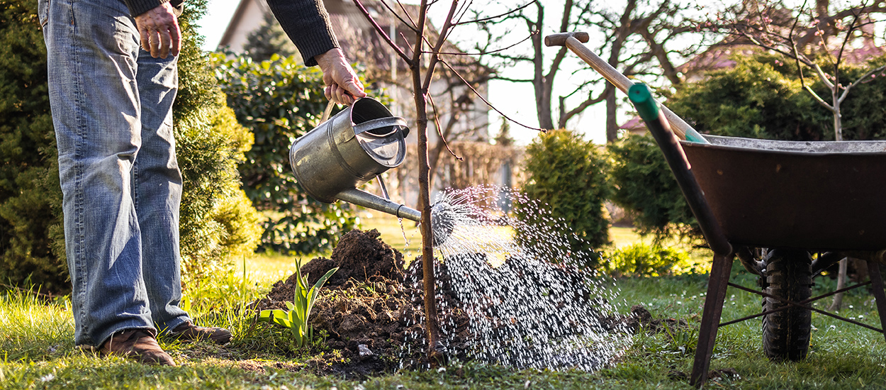 Les 13 astuces ultimes pour arroser votre jardin sans gaspiller l'eau