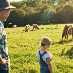 néo ruraux dans un pré avec des vaches