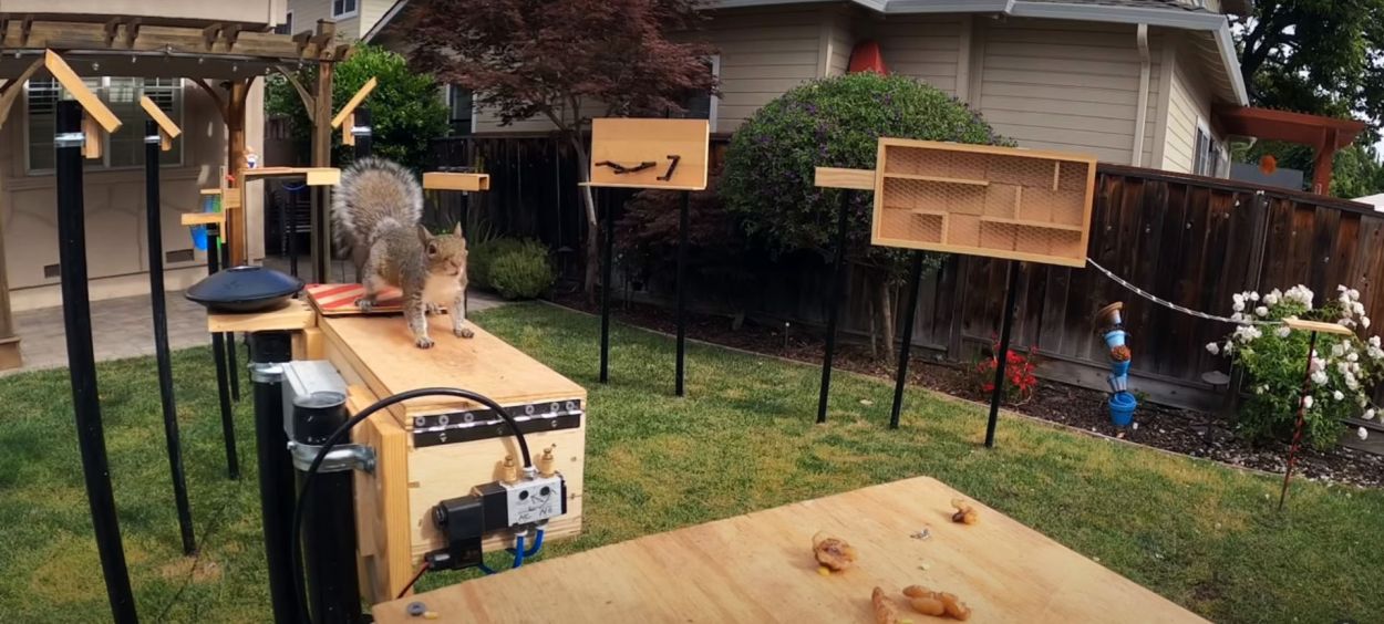 Il fabrique un parcours d'obstacles pour les écureuils dans son jardin