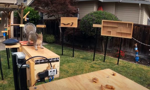 Il fabrique un parcours d'obstacles pour les écureuils dans son jardin
